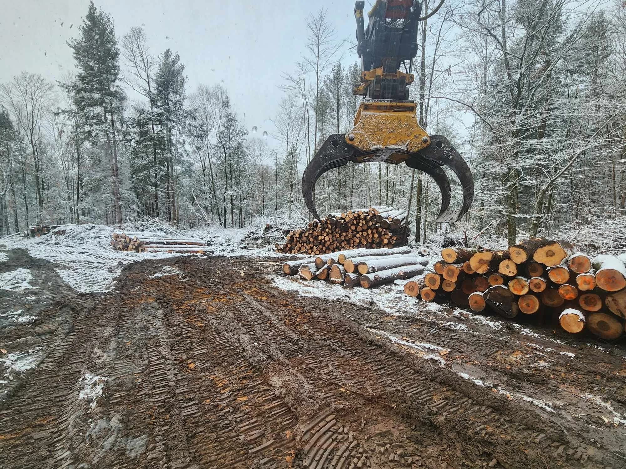 Cut-to-length logging in progress