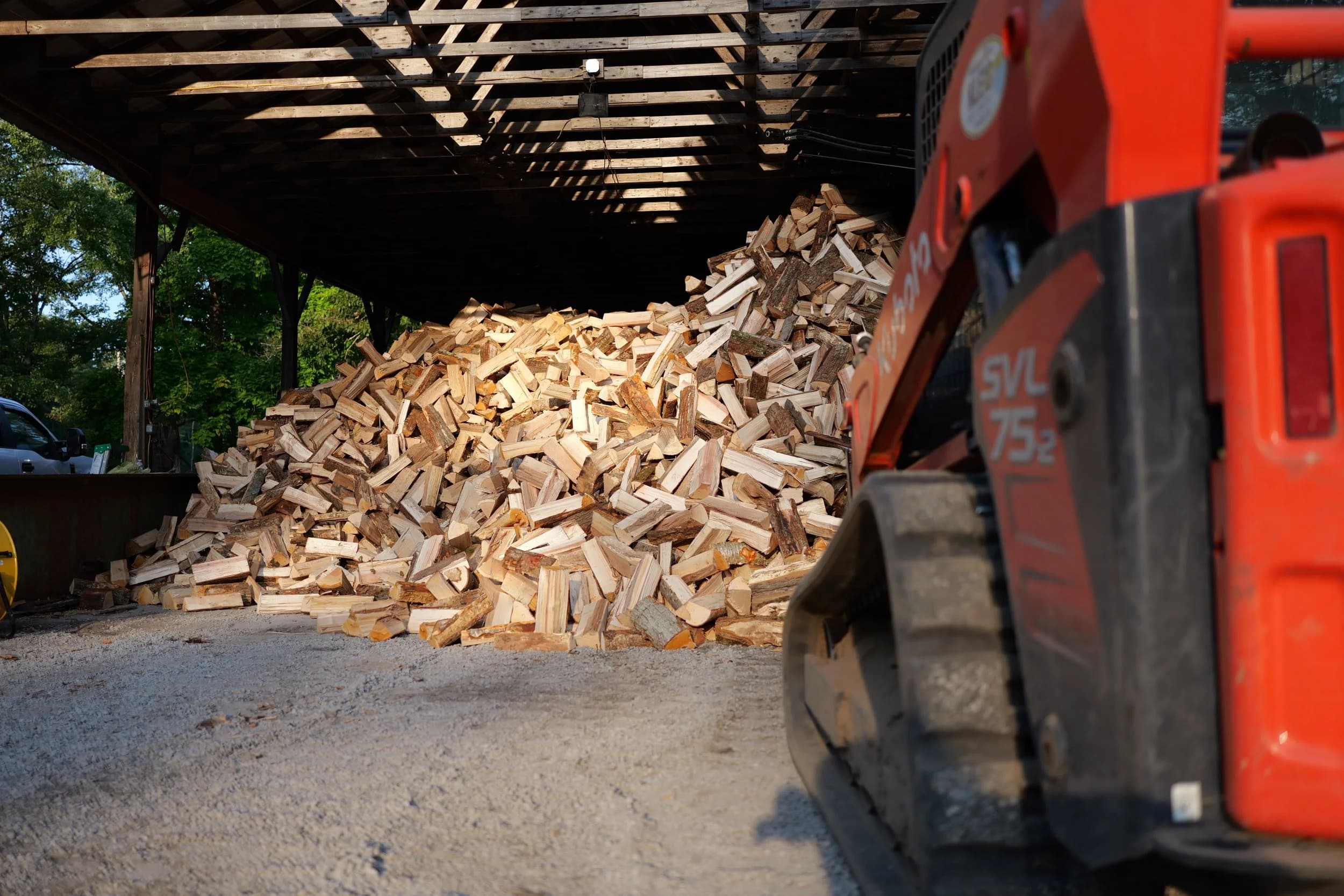 Logging operation in the woods