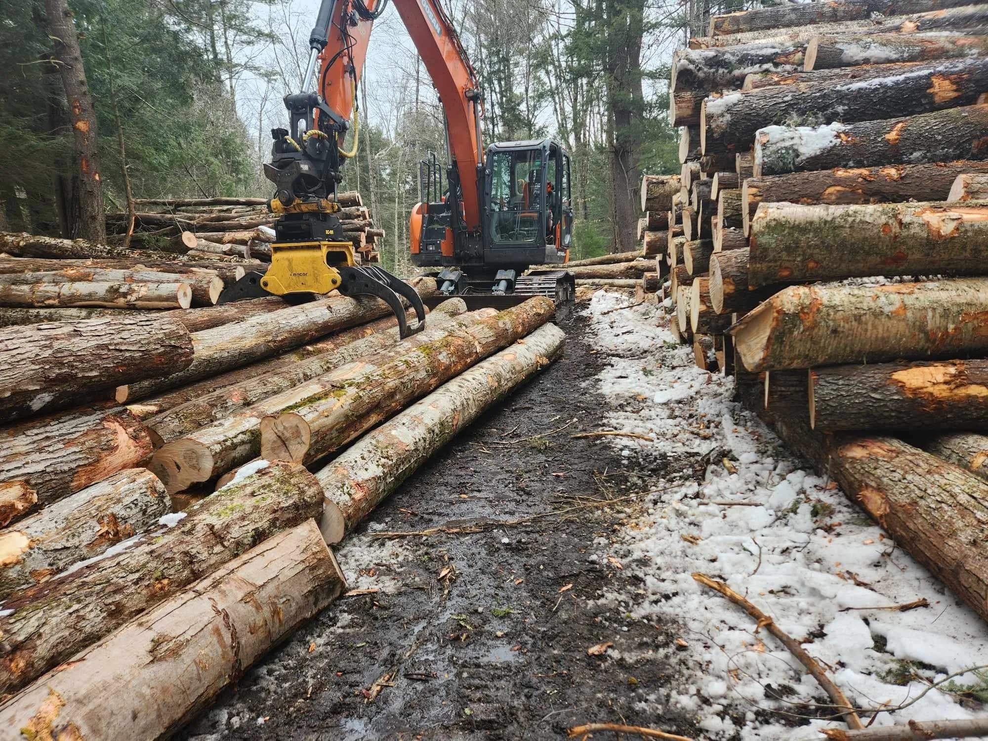 Ponsse processing head working cut logs along the trail