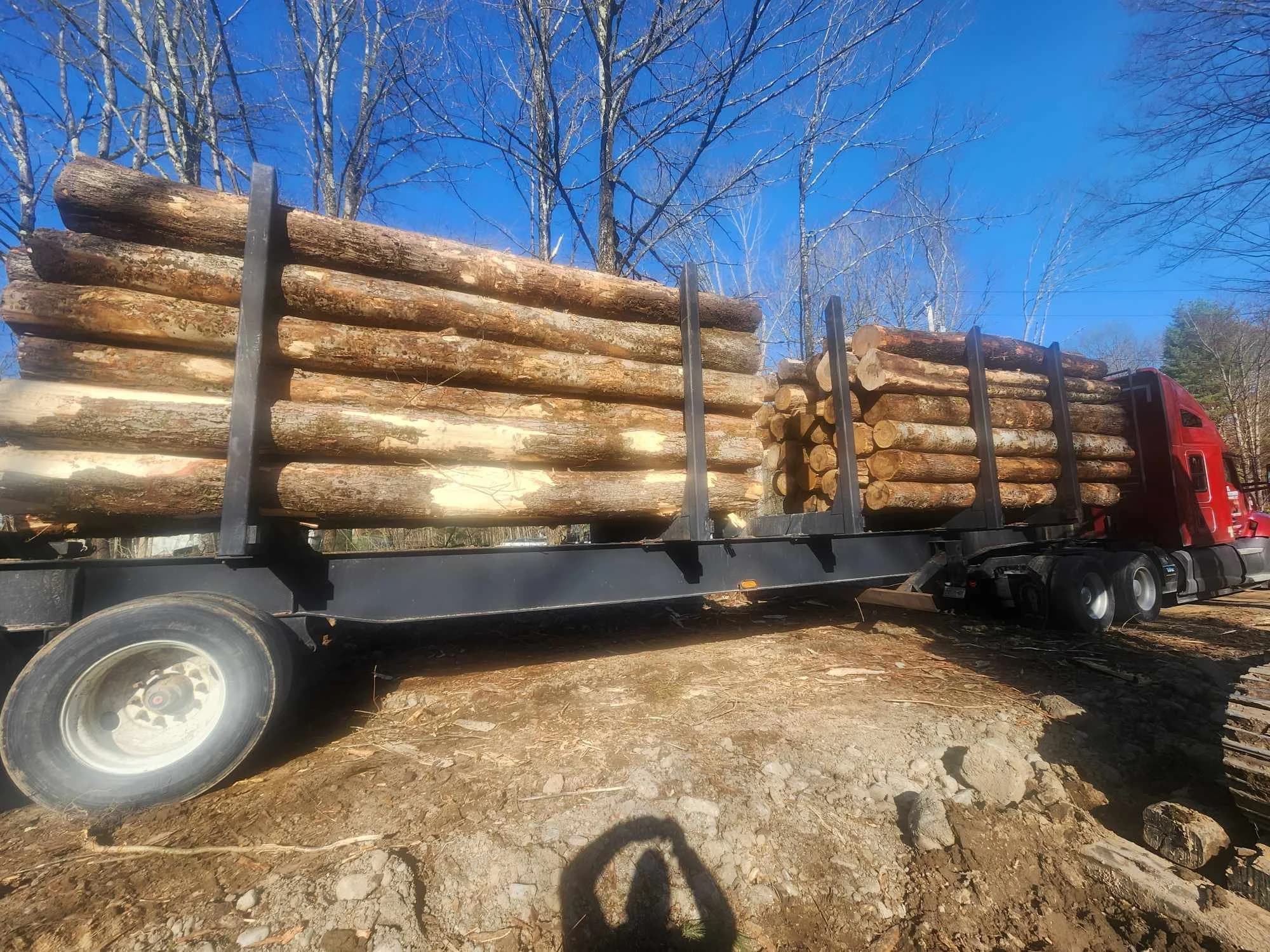 Mechanized timber harvesting in a Central New York forest